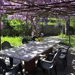 Le Mimose Bilo4 Apartamento Imperia